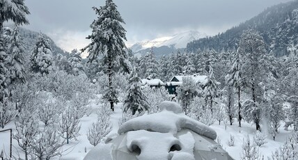 The GlampManali : Luxury Glamping Dome in Manali Room Type - Luxury Dome Stay