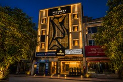 Pineberry Hotels