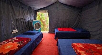 Wacky Woods Resort Room Type - Swiss Camps with Cooler