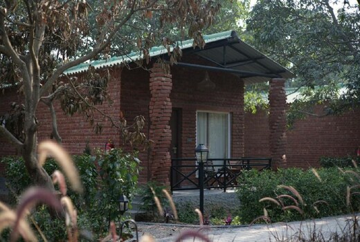 Mango Tree Resorts