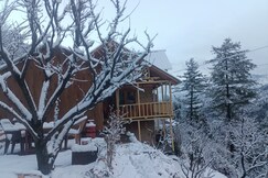 Jibhi stories homestay