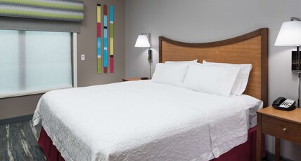 Hampton Inn & Suites by Hilton Chicago-North Shore/Skokie Room Type - 1 KNG HEARING ACC NOSMOK