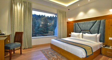 DLS Ark Holiday Inn Room Type - Deluxe Room