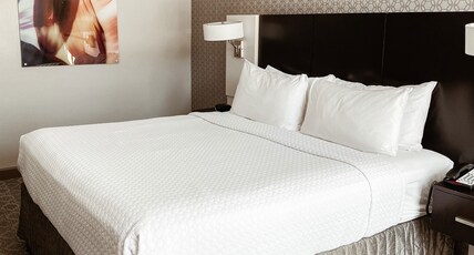 Crowne Plaza Chicago SW - Burr Ridge Room Type - 1 King Standard Mobil Access Roll Shower