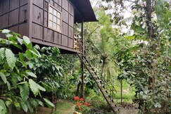 Lo Adoro Tree House Tourist Homestays