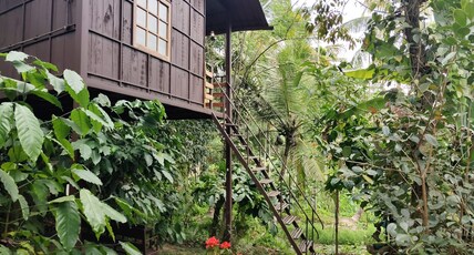 Lo Adoro Tree House Tourist Homestays Room Type - Lo Adoro Tree House Tourist Homestays