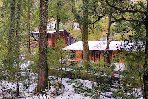 Ayar Jungle Resort