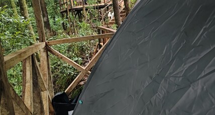 Forest IMAX Room Type - Tent Max