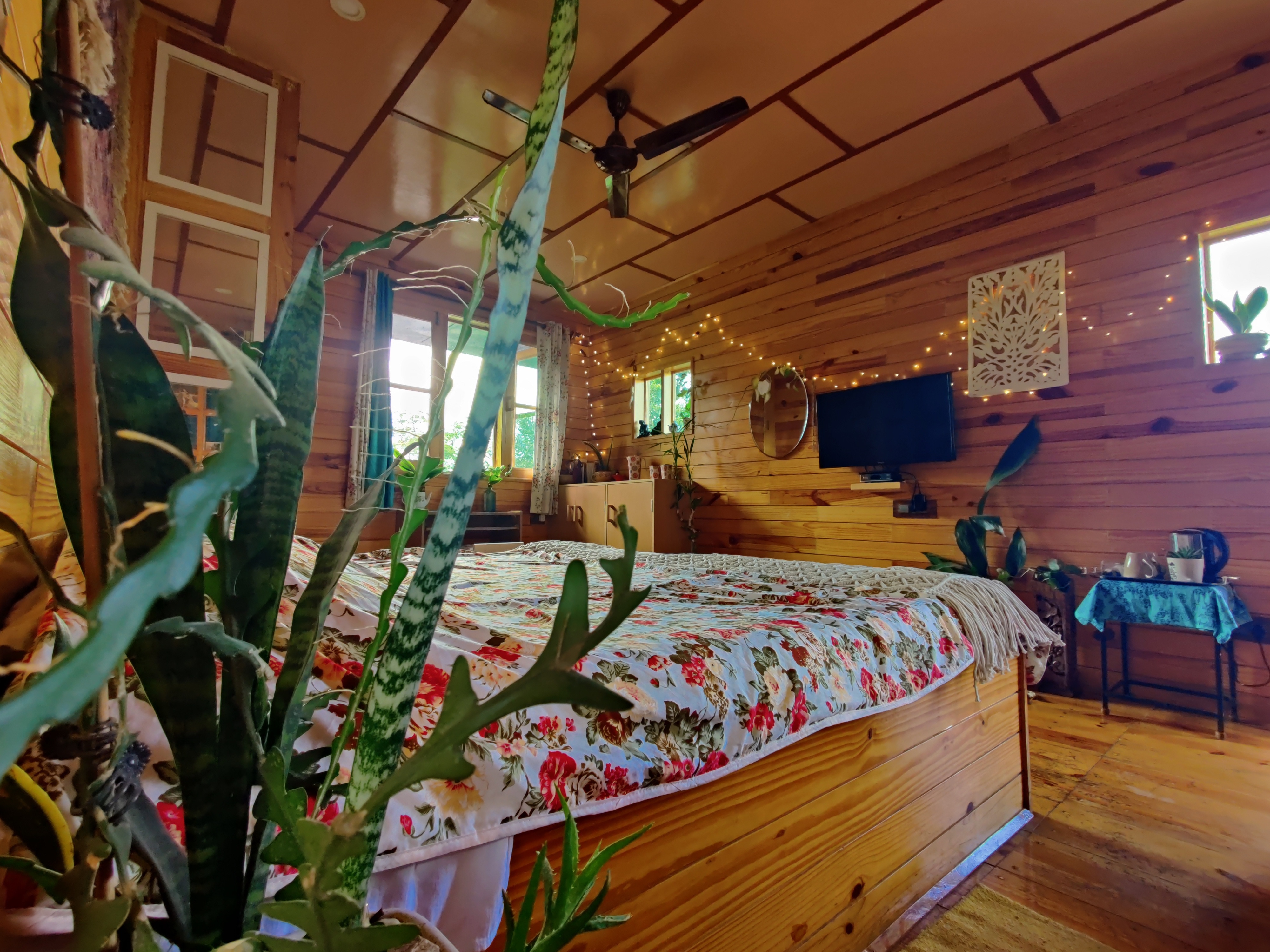 Wandersthirst Dharmashala | Chirping Wooden Chalet - Tap to explore photos