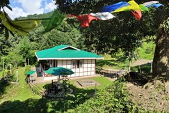 The Nettle & Fern Farmstay