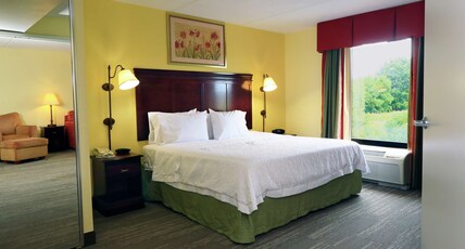Hampton Inn & Suites by Hilton Lamar Room Type - 1 KING BED OTHER NONSMOK