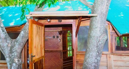 Heaven In Woods Room Type - Tree House