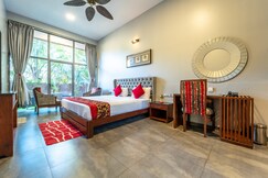 Zense Candolim
