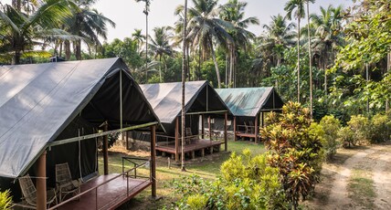 Amritara Riverside Camp Room Type - Jungle View Tent
