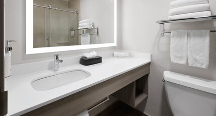 Holiday Inn Express & Suites WYOMISSING Room Type - 1 King Bed Suite Comm Access Sofa Bed