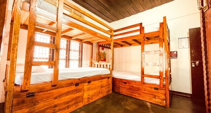 Zebra Hostel Room Type - 6 Bed Ac Mixed Dormitory