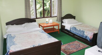 New Pokhara Lodge Room Type - Standard Double Room