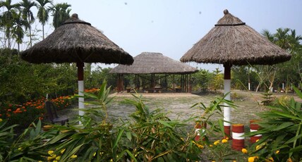 Dragon Fruit Farm Stay Room Type - Dragon Fruit Farm Stay