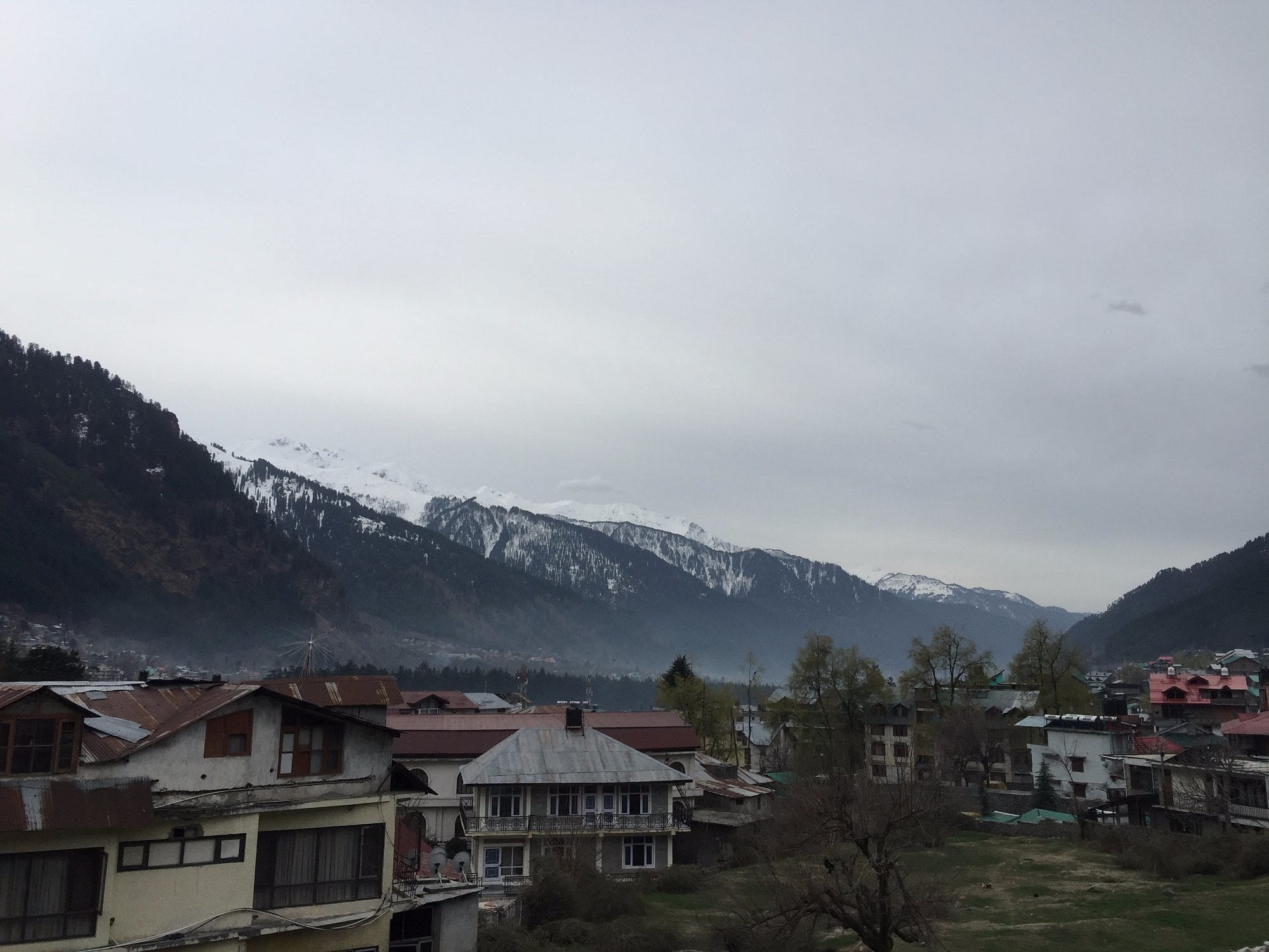Manali Nest - Tap to explore photos