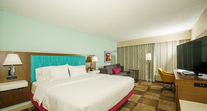 Hampton Inn by Hilton Hutchinson Room Type - 1 KING SUITE WITH SOFABED