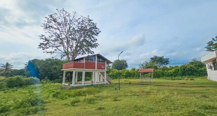 Nature Full Masanagudi Room Type - Tree House