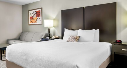 Best Western Okemos/East Lansing Hotel & Suites Room Type - 1 King Bed, Non-Smoking, Pillow Top Mattress, Sofabed, Microwave And Refrigerator, High Speed Intern Best Western Okemos/East Lansing Hotel & Suites Room Type - 1 King Bed, Non-Smoking, Pillow Top Mattress, Sofabed, Microwave And Refrigerator, High Speed Intern
