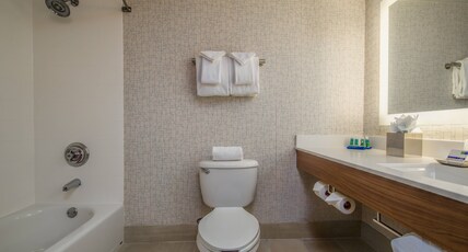 Holiday Inn Express Phoenix-Airport/University Drive Room Type - 1 Queen Suite