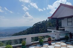 Green Palms Rubystone Exotic