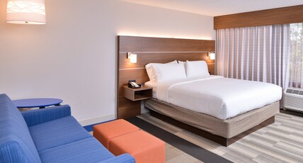 Holiday Inn Express & Suites INDIANAPOLIS DTN-CONV CTR AREA Room Type - 1 King Suite