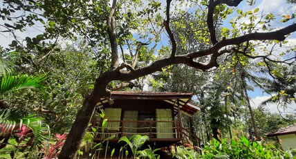 NV Ecofarm Room Type - Cottage 1