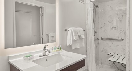 Holiday Inn Charleston Riverview, an IHG Hotel Room Type - 1 Double Standard Mobility Accessible Roll Shower