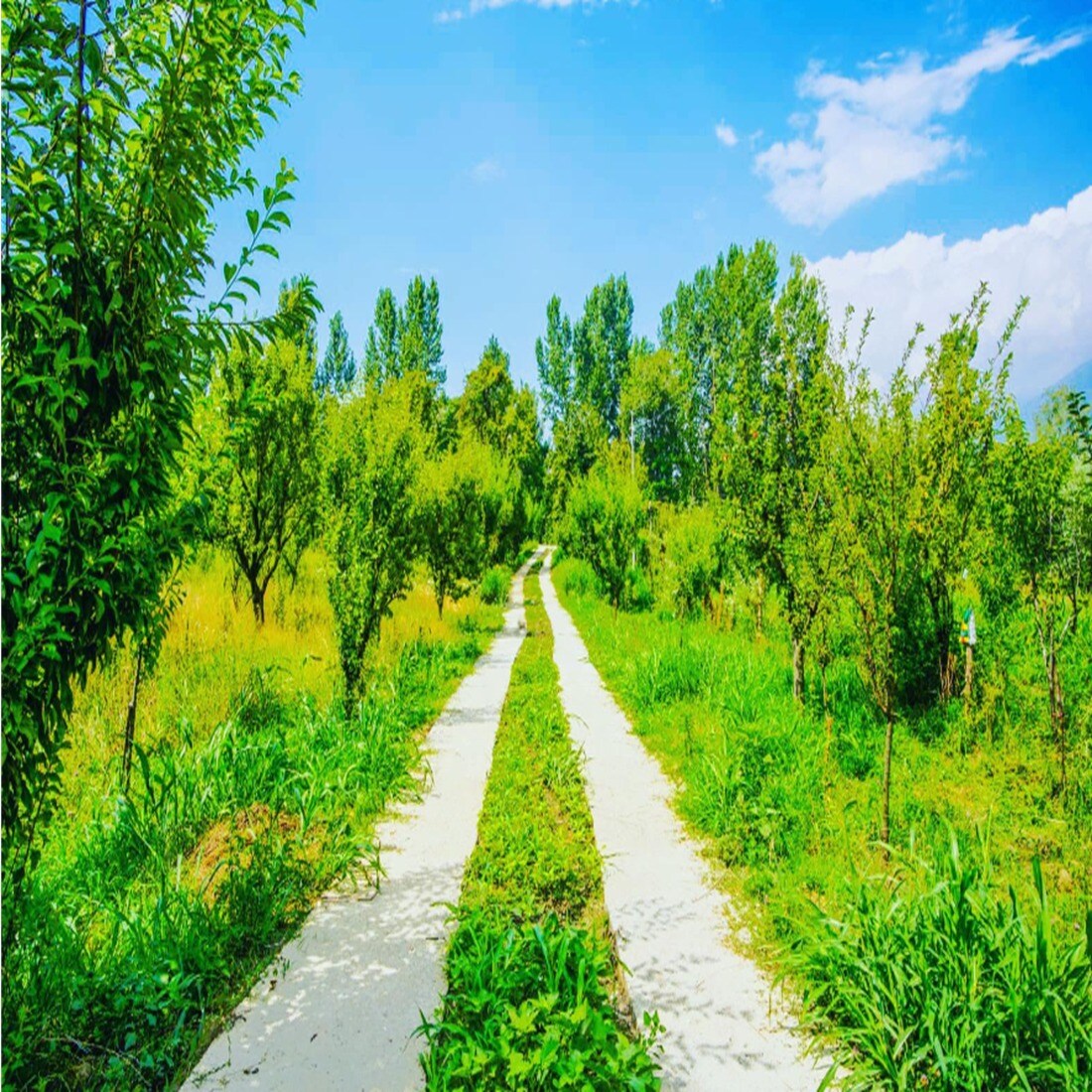 Maurya Residency - Tap to explore photos