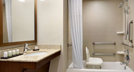 Embassy Suites Denver - Downtown/Convention Center Room Type - 2QN MOB HEA ACC TUB STE NS