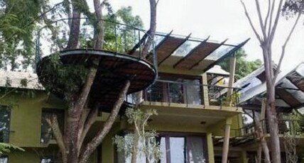 Waterwoods Lodges & Resorts Room Type - Tree Deck room with Balcony