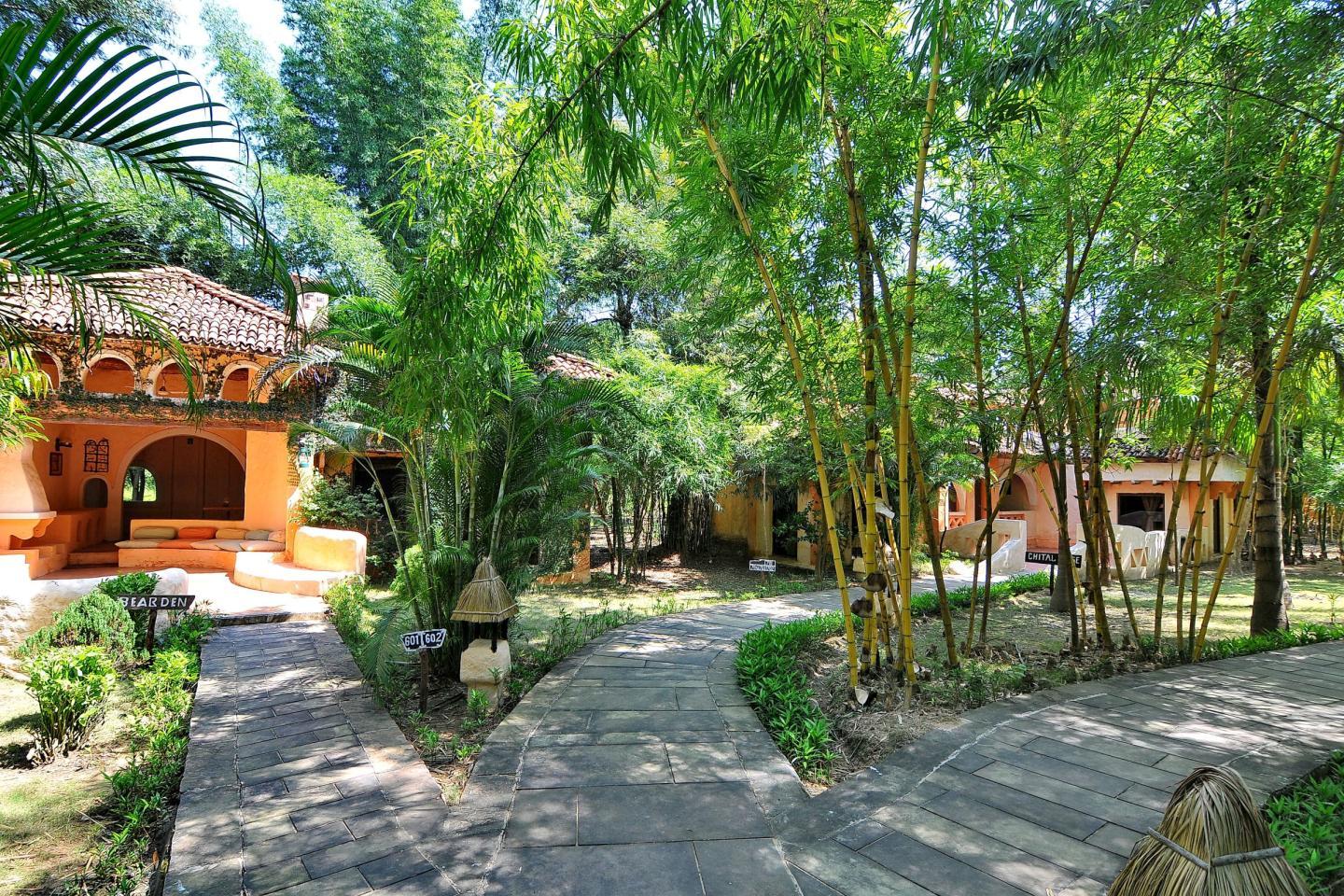 Tuli Tiger Resort - Tap to explore photos