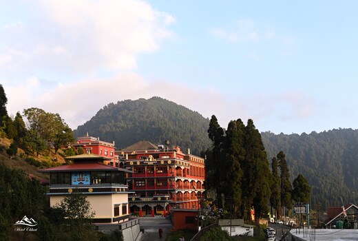 THE  CHHUTI