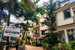 Address of white rose by the beach