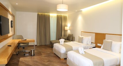 The Fern Residency, Morbi Room Type - Winter Green Premium Room