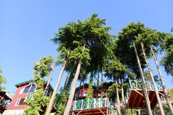 The Mysterious Hills