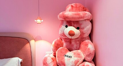 High Rise Luxe Studios at M3M One Key Room Type - Luxe Pink Teddy Jucuzzi Studio-Private Patio