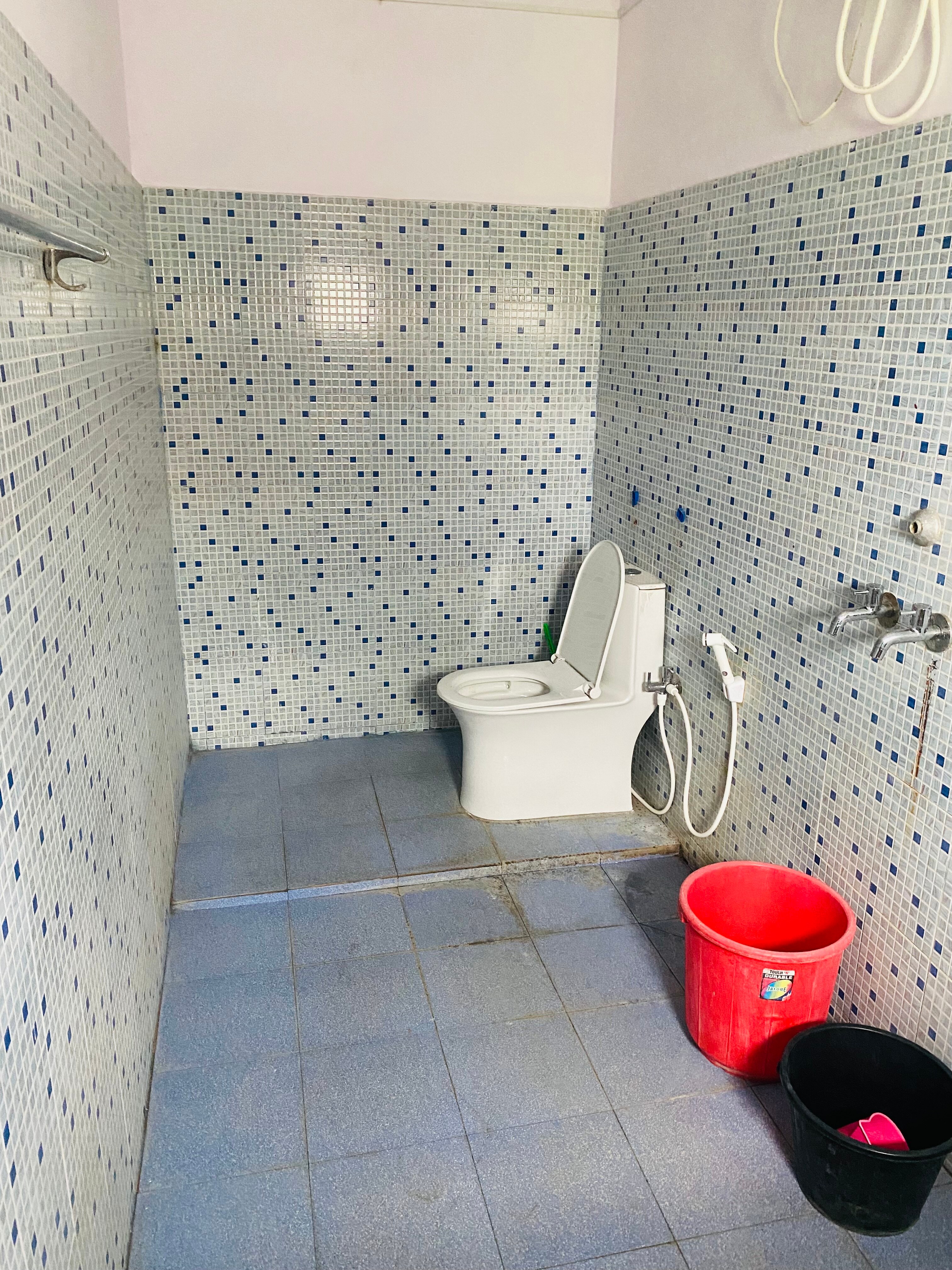 Pink orchid - Tap to explore photos