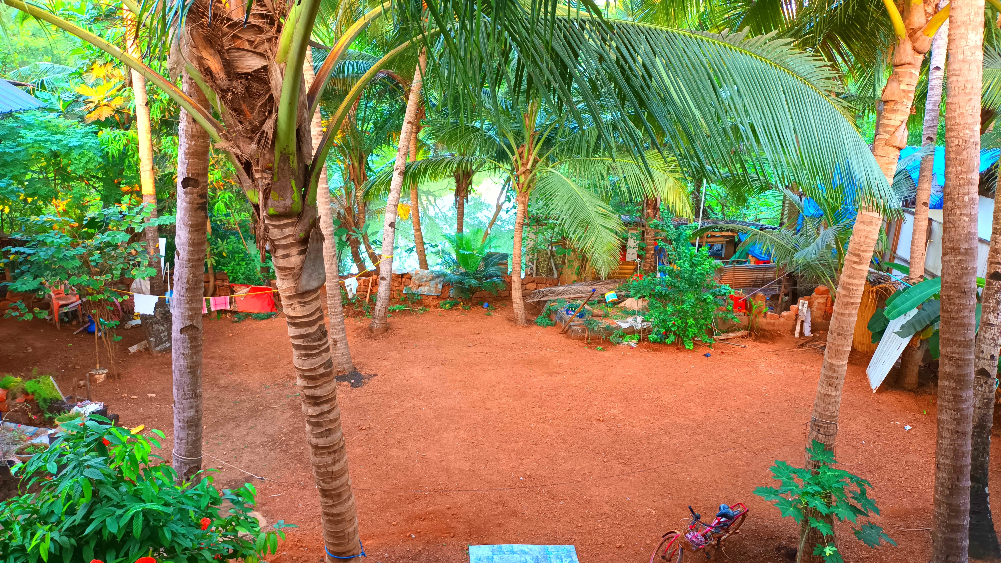 DALIA GUEST HOUSE - Tap to explore photos