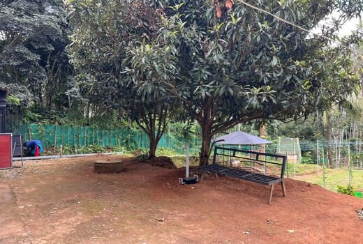 The Loquat Inn