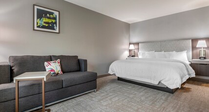Hampton Inn by Hilton Camden Room Type - 1 KING SFBD MIC FRG NS