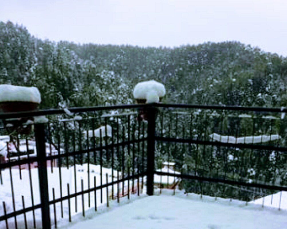 Silver Wood Homestay | Rooms & Caretaker - Tap to explore photos