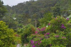 Highland homestay munnar