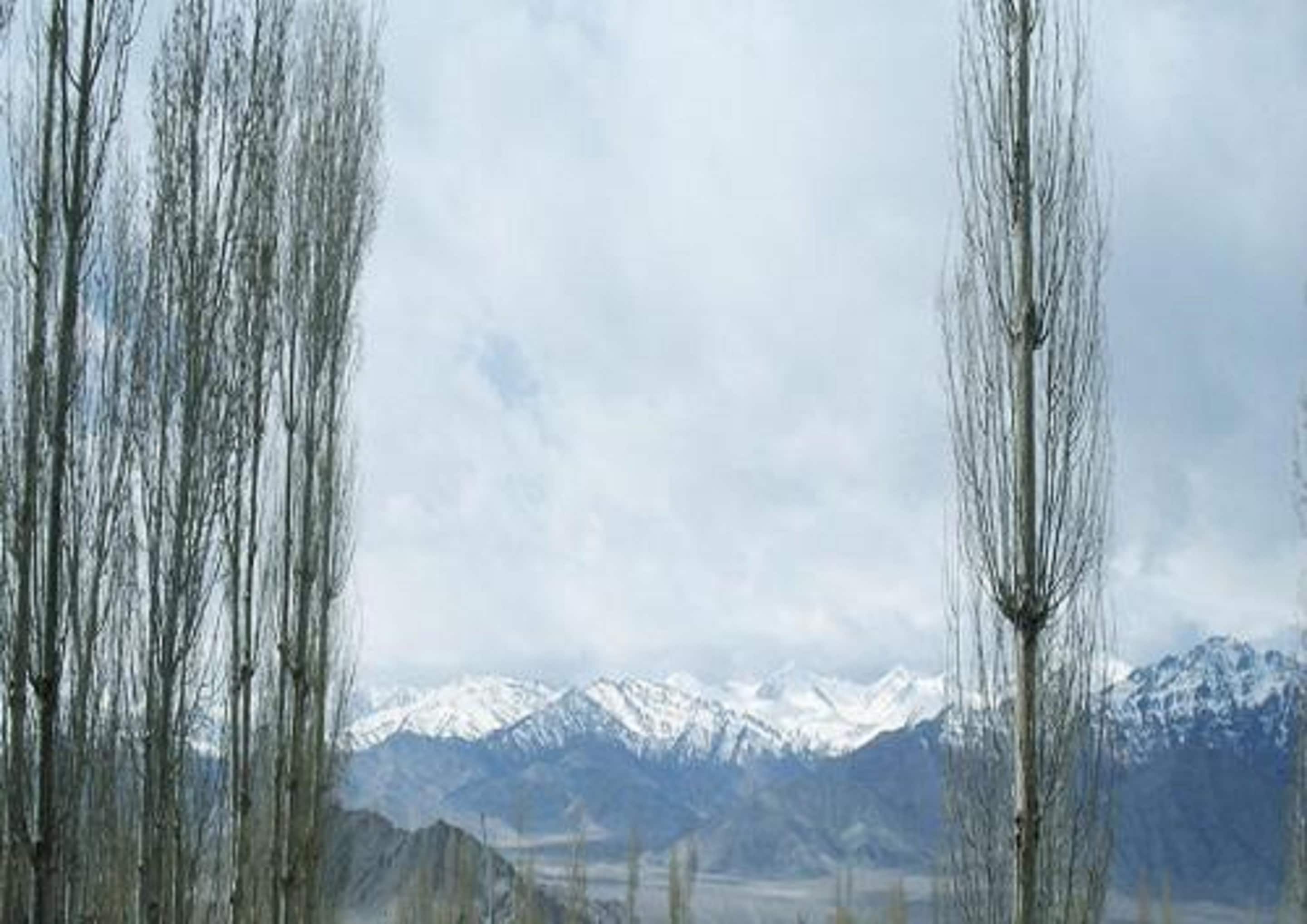 Hotel Sky Desert Ladakh - Tap to explore photos