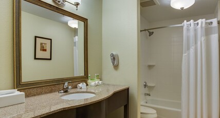 Holiday Inn Express and Suites Moultrie Room Type - 2 King Beds 2 Bedroom Suite