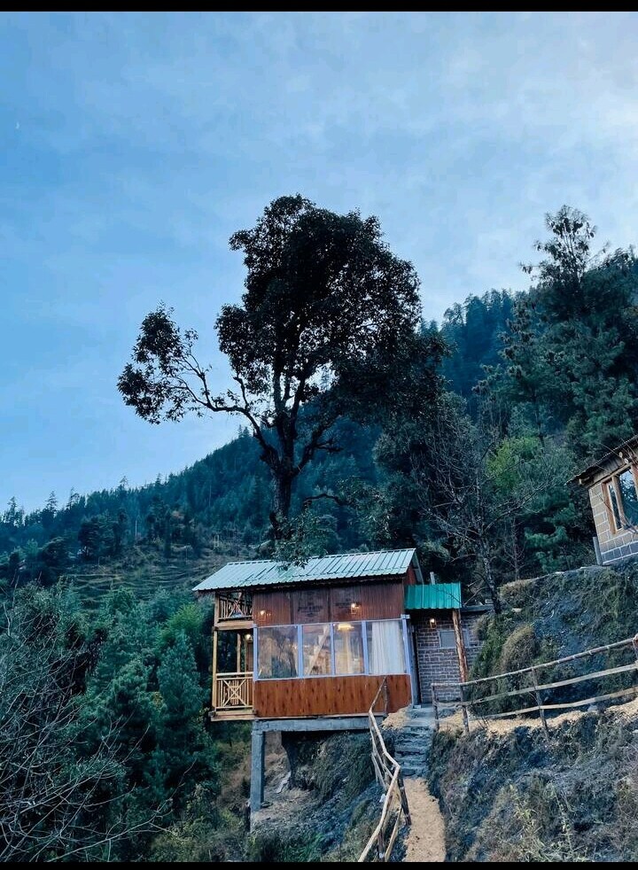 The Divine treehouse By Eleven : 11 - Tap to explore photos