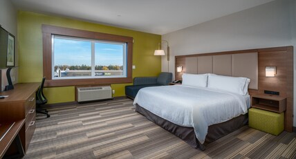 Holiday Inn Express & Suites BRANDON Room Type - 1 King Standard Extra Floor Space